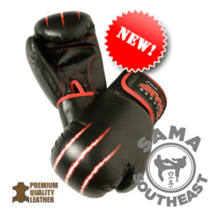 Workout/Training Boxing Glove